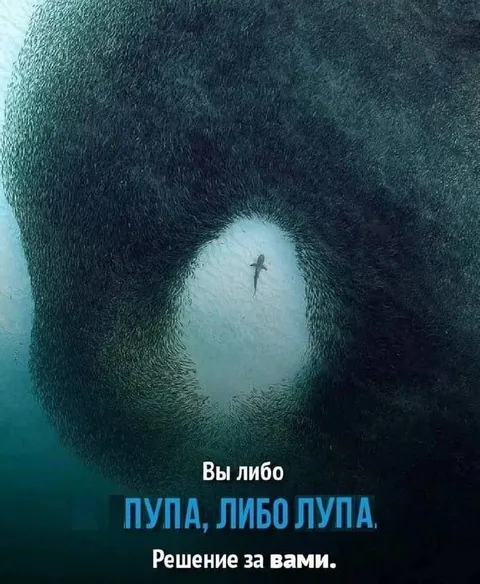 Пупа или Лупа