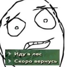 Иду в лес, скоро вернусь