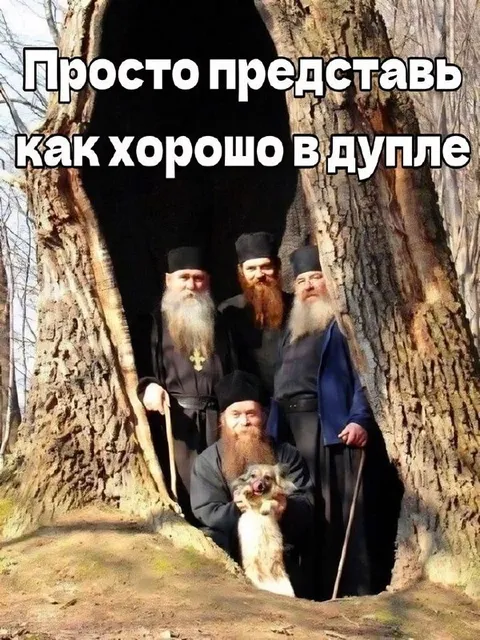 Как хорошо в дупле
