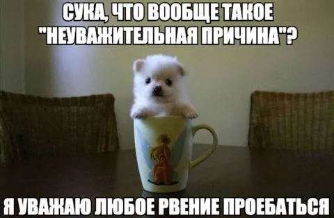 Неуважительная причина неуважения