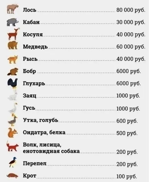 Штрафы за сбитых животных