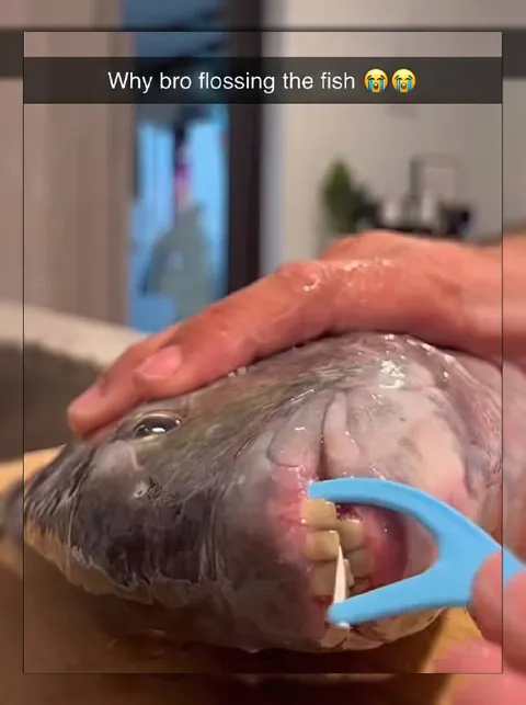 Why Bro Flossing the Fish