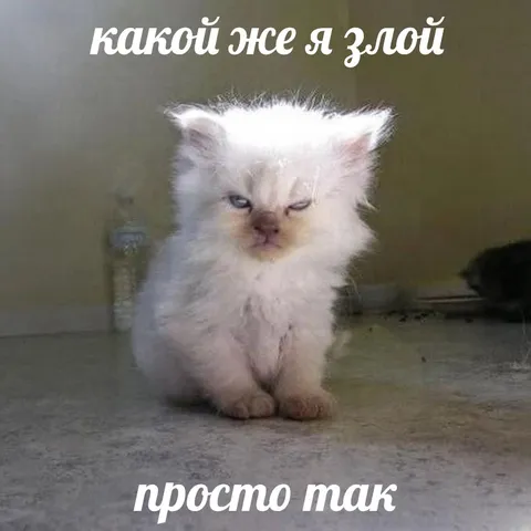 Какой же я злой