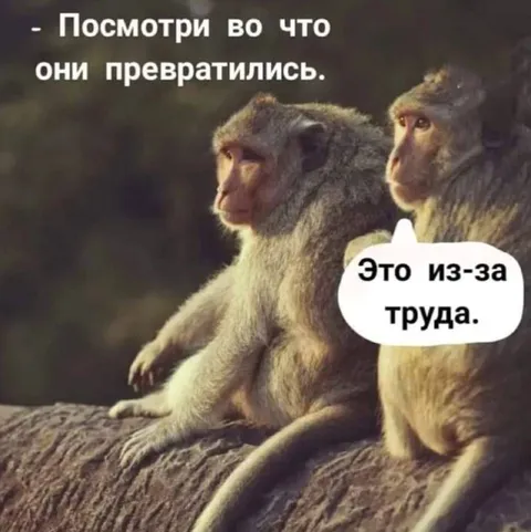 Это из-за труда