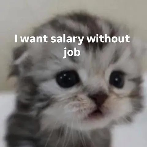 Kitten Wants a Salary Without a Job