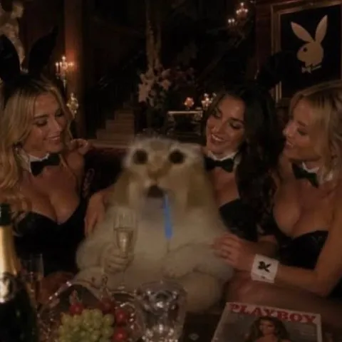 Cat at the Playboy Mansion