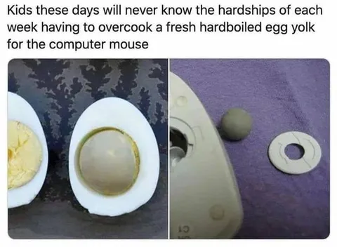 Overcooked Egg Yolk Mouse Ball