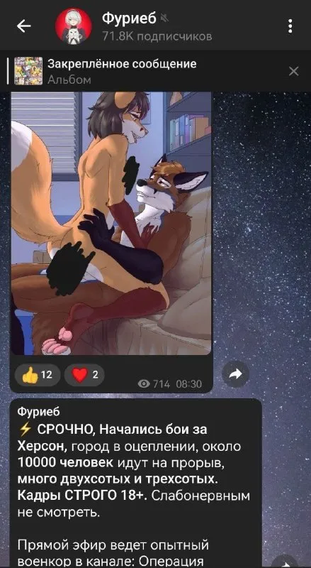 Срочная операция с пушистиками