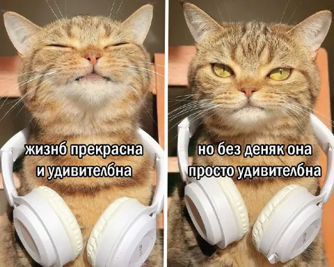 Жизнь без денег удивительна