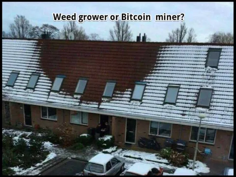 Weed Grower or Bitcoin Miner