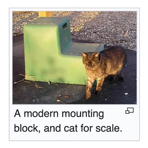 Modern Mounting Block and Cat