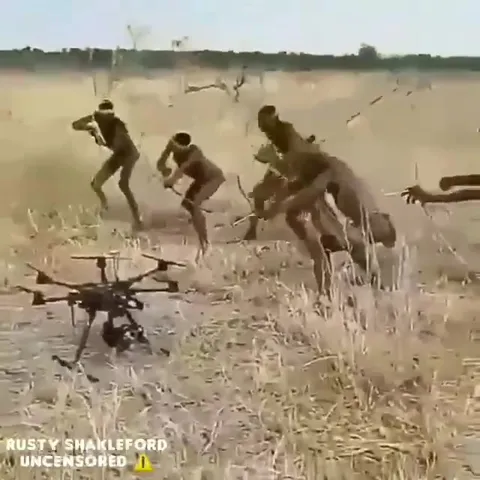 Обезьяны управляют дроном