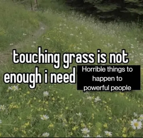 Touching Grass Is Not Enough