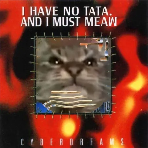 I Have No Tata Cat