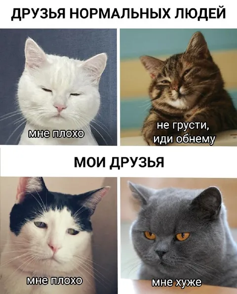 Друзья нормальных людей и мои друзья