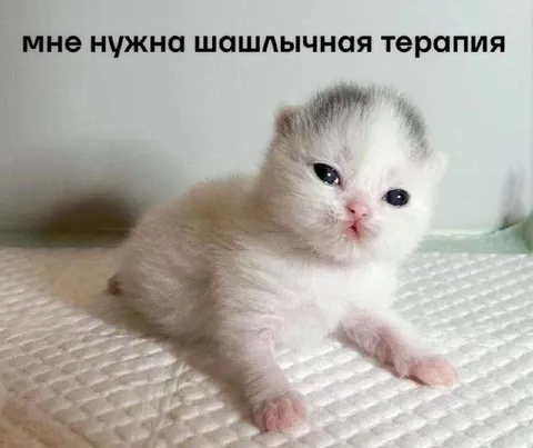 Мне нужна шашлычная терапия