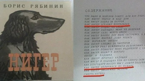 Нигер и ограбленный почтальон