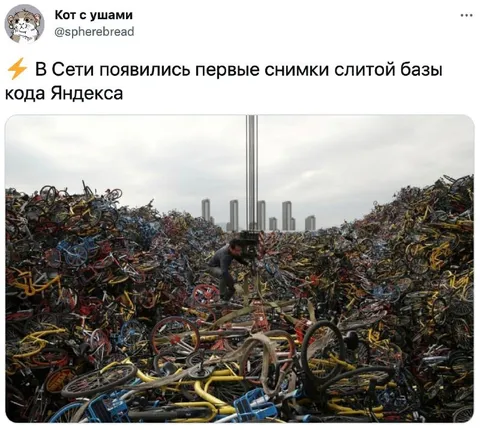 Слитая база кода Яндекса
