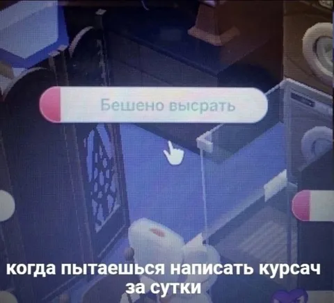 Курсач за сутки