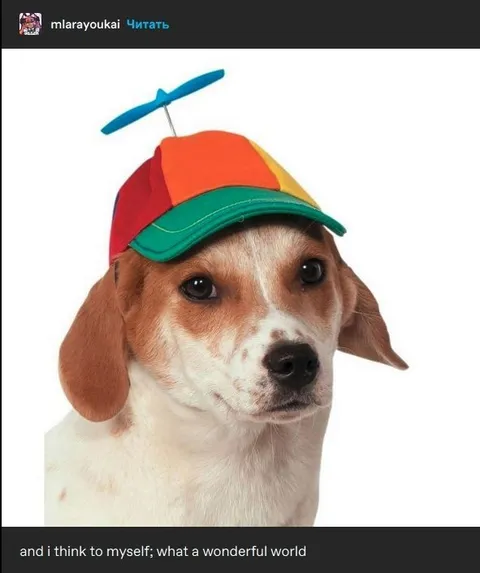 Dog Thinking About a Wonderful World