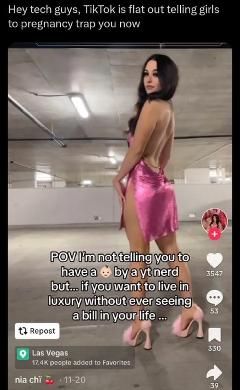 TikTok Pregnancy Trap Joke