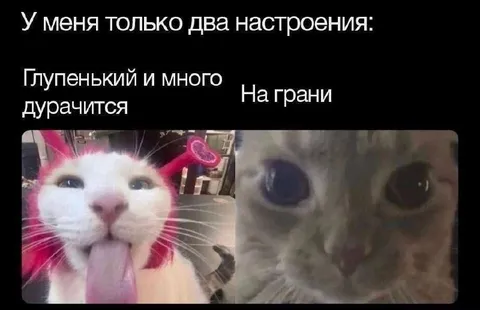 У меня только два настроения