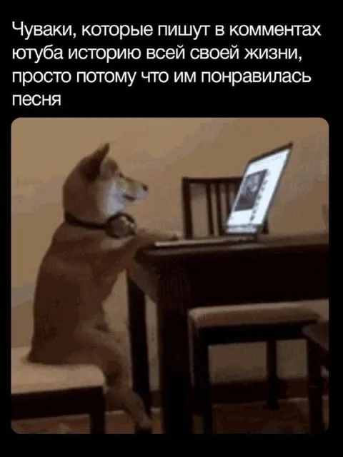 История всей жизни в комментариях