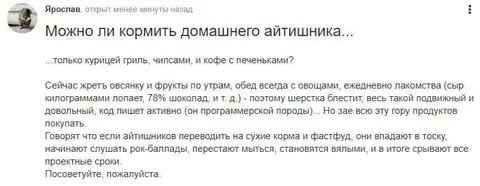 Как кормить домашнего айтишника