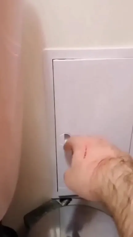 Кот за дверцей люка