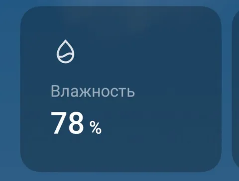 Влажность 78 процентов