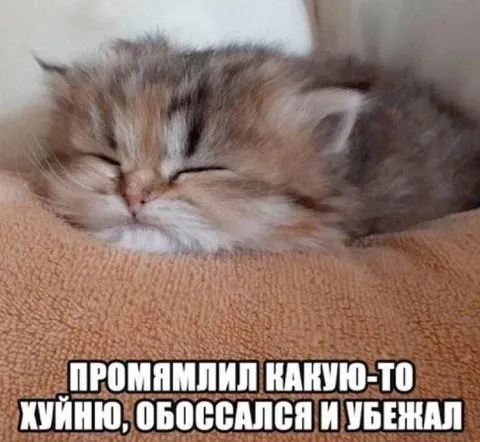 Промямлил херню и убежал