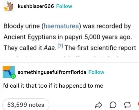 Ancient Egyptian Urine Name