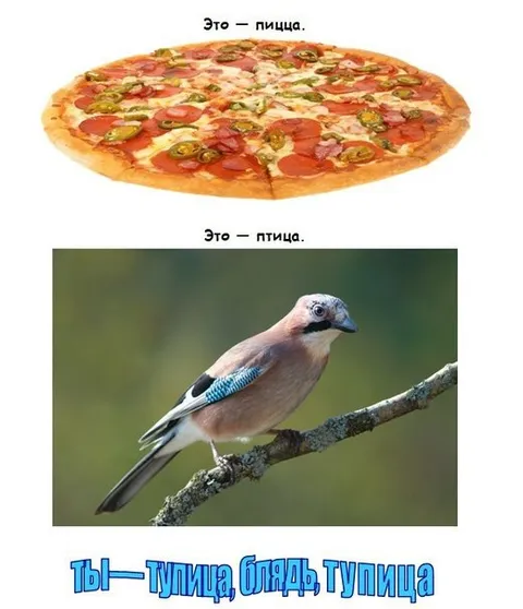 Пицца, птица, тупица