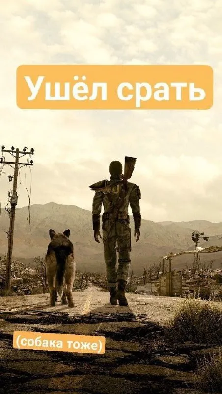 Ушёл спать, собака тоже