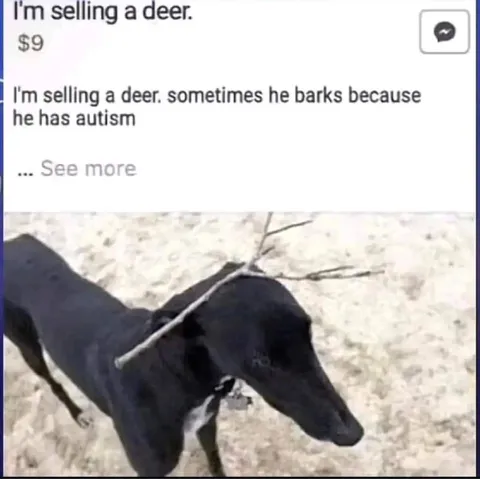 Selling a Barking Deer