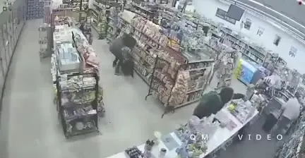 Погоня между стеллажами магазина
