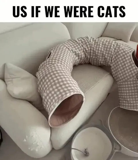 Us If We Were Cats