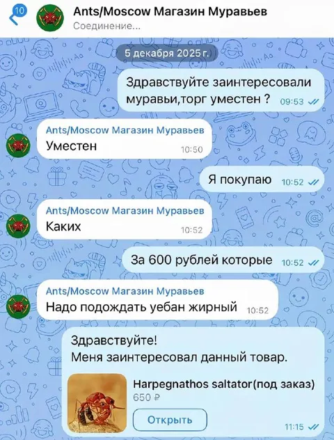 Жирный муравей за 600 рублей