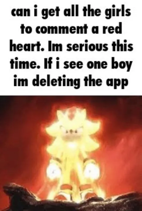 Super Sonic Deletes the App