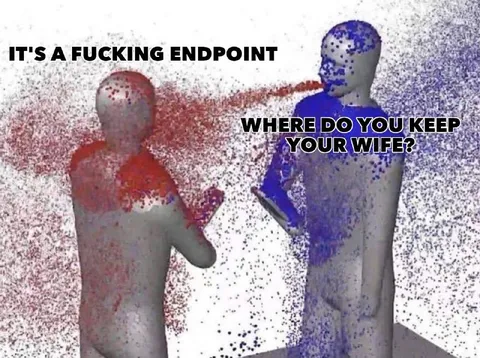 Fucking Endpoint Wife Joke
