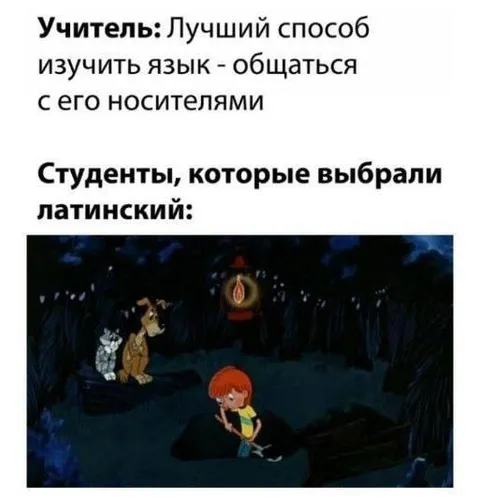 Студенты, изучающие латынь