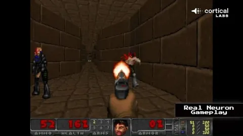 Живые нейроны играют в DOOM