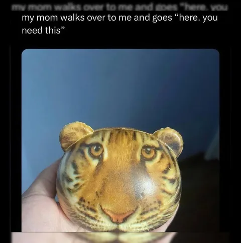 Mom Gives You This Tiger