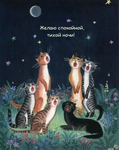 Желаю спокойной тихой ночи