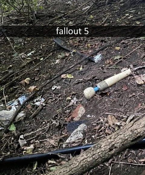 Fallout 5 Found in the Woods