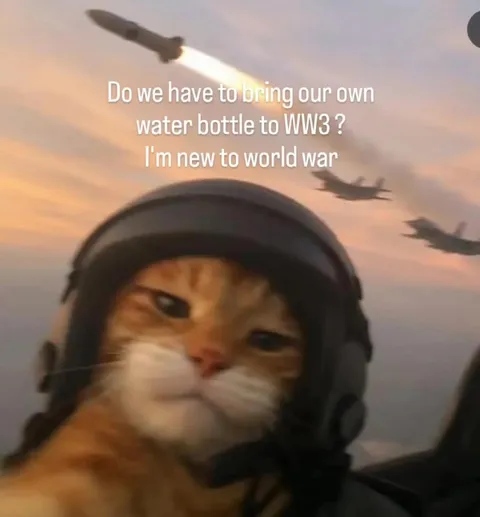 New to World War