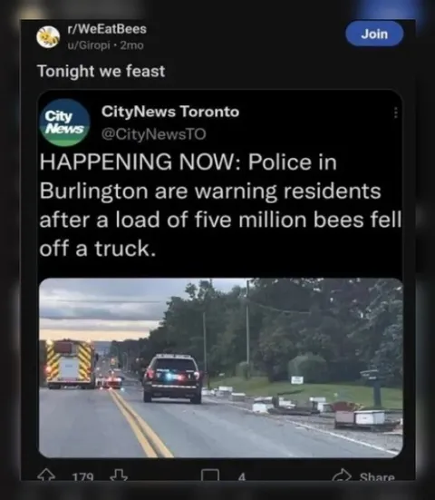 Tonight We Feast on Bees