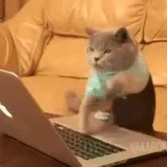 Кот работает за ноутбуком