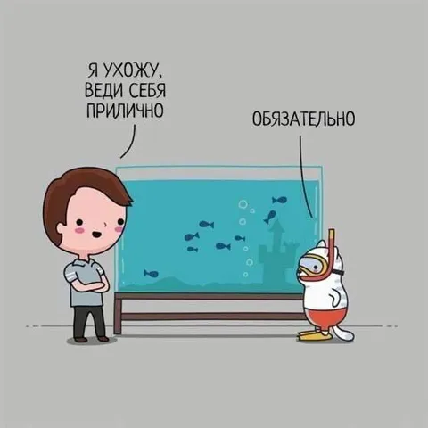 Веди себя прилично