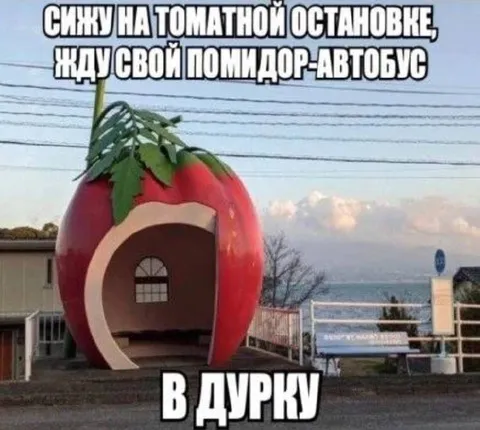 Помидор-автобус в дурку